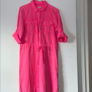 J Crew Pink Dress